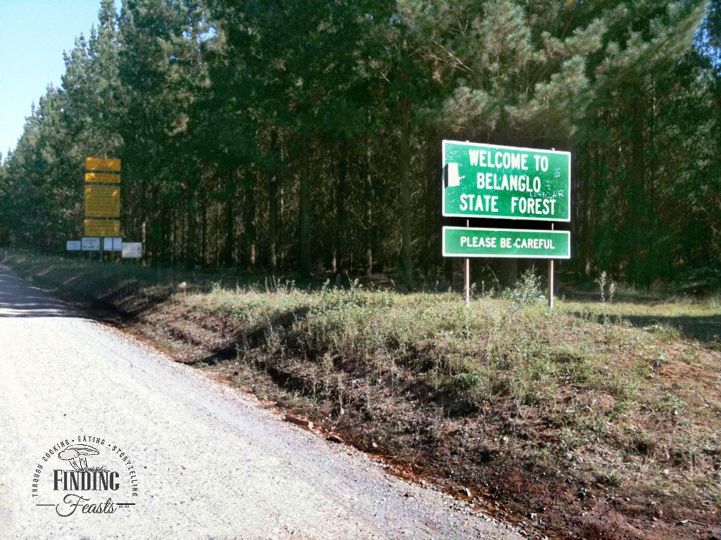 Mushroom foraging in NSW, Oberon and Belanglo