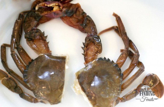 Finding Feasts -How to clean Soft Shell Crab