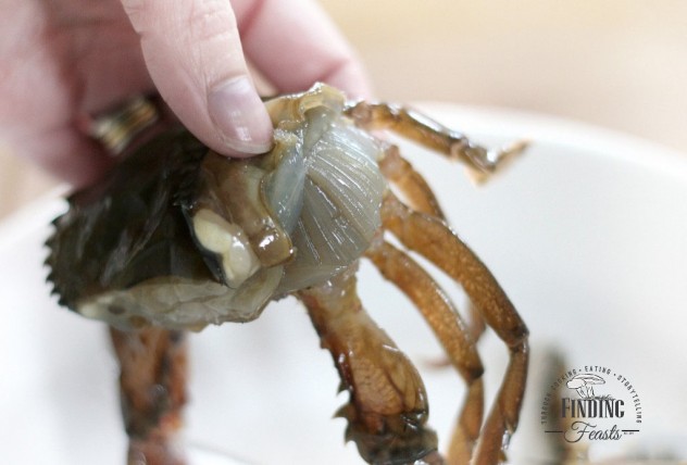 Finding Feasts -How to clean Soft Shell Crab