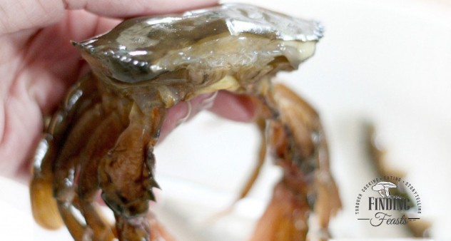 Finding Feasts -How to clean Soft Shell Crab