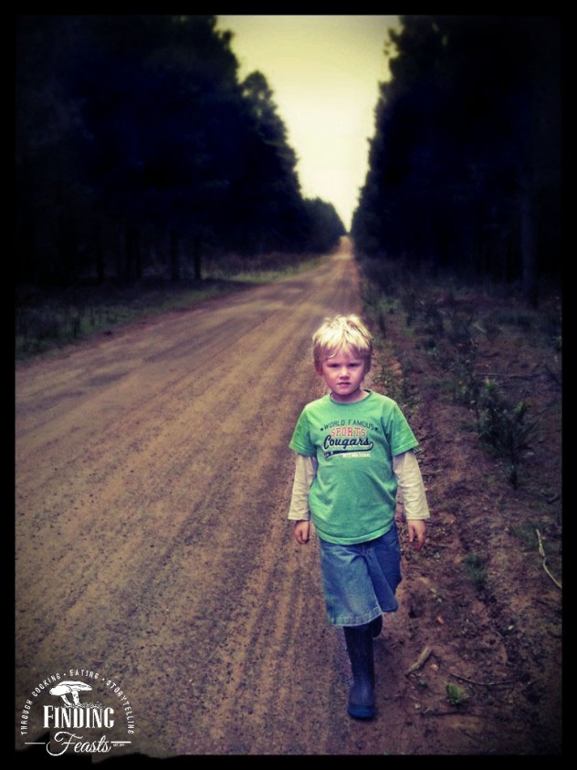 Finding feasts - Mushroom foraging NSW