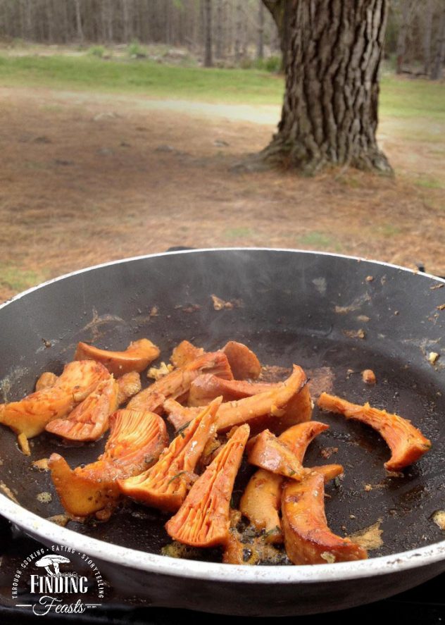 Finding Feasts - Freshly-cooked-Pine-Mushrooms