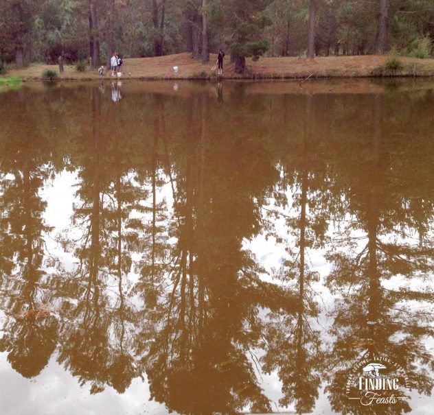 Finding Feasts - Mushrooming_Yabbies_1