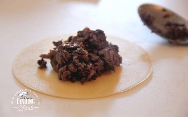 Finding Feasts - Pierog-w-Mushrooms