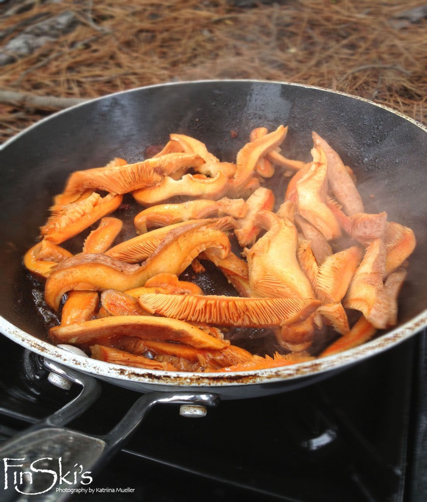 FinSkis Mushrooming Tours in NSW