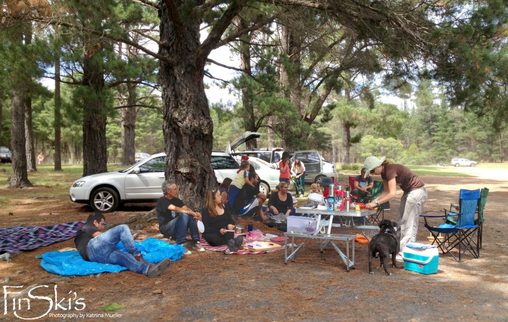 Mushroom foraging tours in NSW