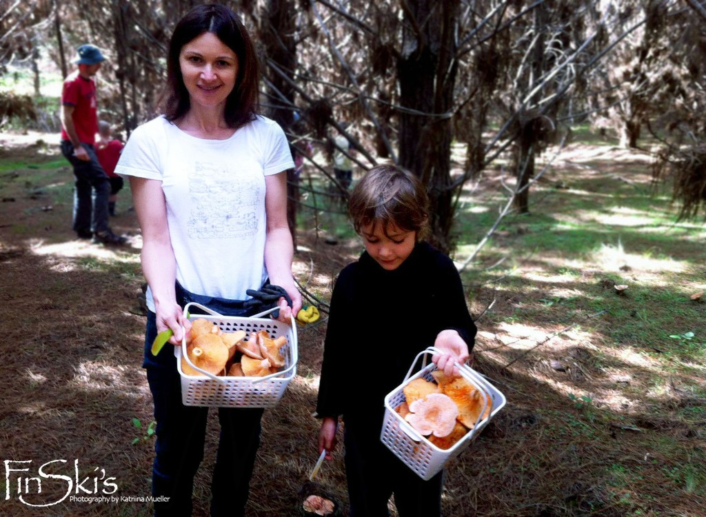 Mushroom foraging tours in NSW