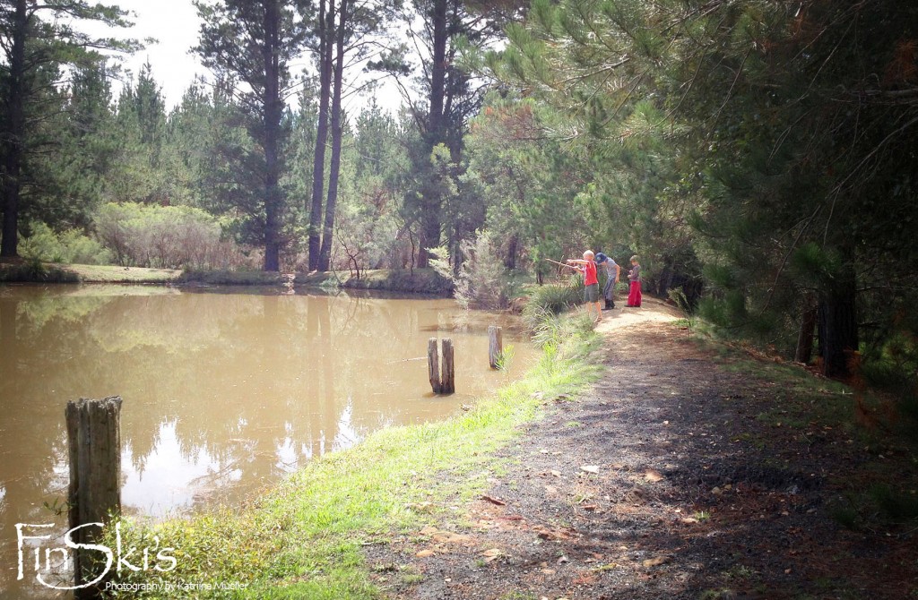 FinSki’s first wild mushroom foraging tour - Yabby fishing