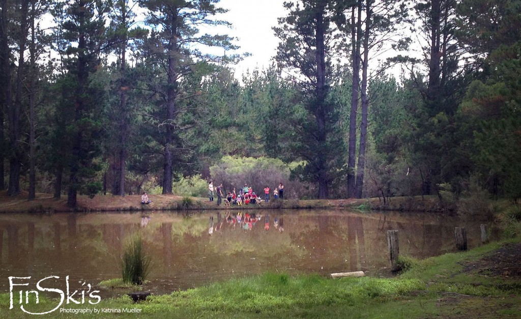 FinSkis Mushrooming Tours in NSW