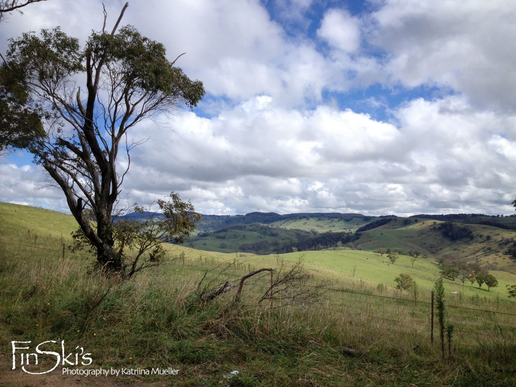 FinSkis Mushrooming in Oberon