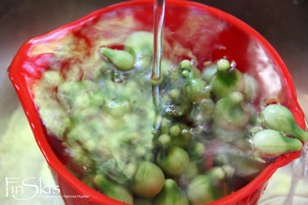 Curried Green Tomato and Cranberry Relish