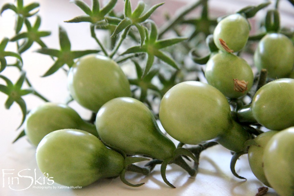 Curried Green Tomato and Cranberry Relish