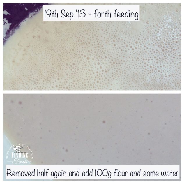 Finding Feasts - Wild Yeast Sourdough Bread Starter_3