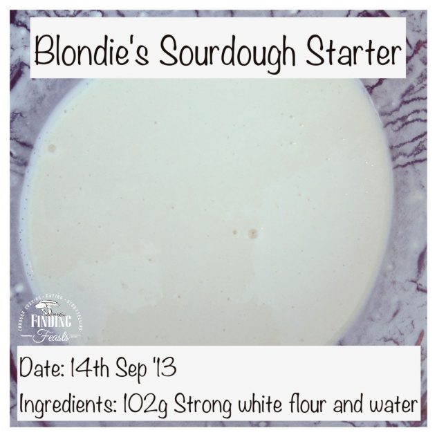 Finding Feasts - Wild Yeast Sourdough Bread Starter_4