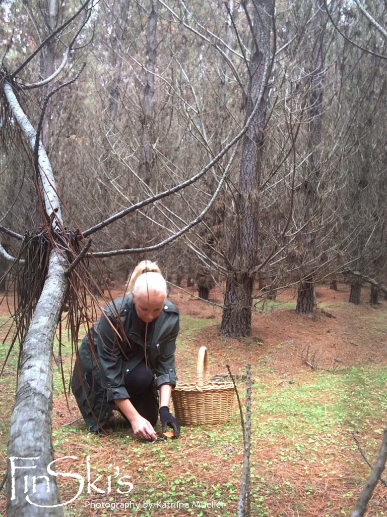 FinSkis Mushroom foraging NSW