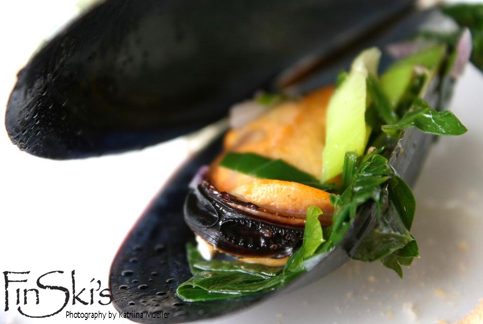 Mussels Cooked in White Wine & Parsley