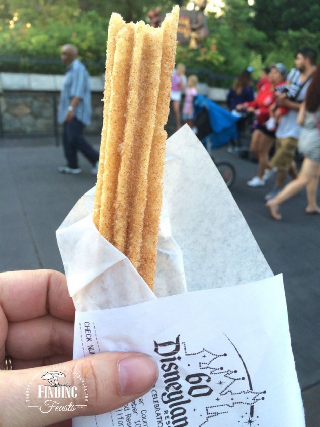 Finding Feasts - Disneyland Churros