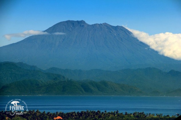 Finding Feasts - Bali for Christmas