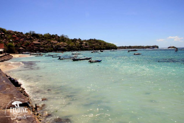 Finding Feasts - Nusa Lembongan