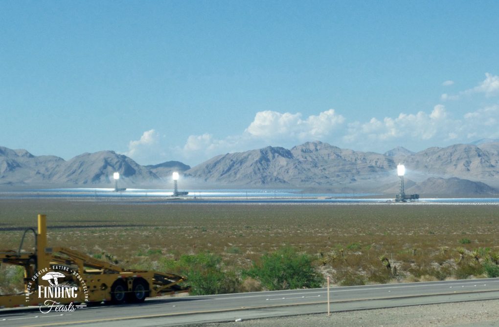 Finding Feasts - Light Farm On Way To Las Vegas