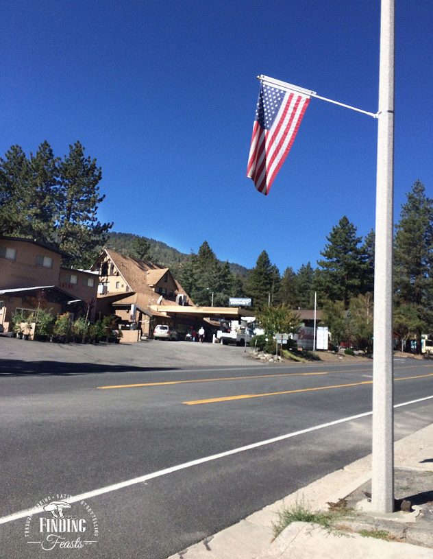 Finding Feasts - Wrightwood