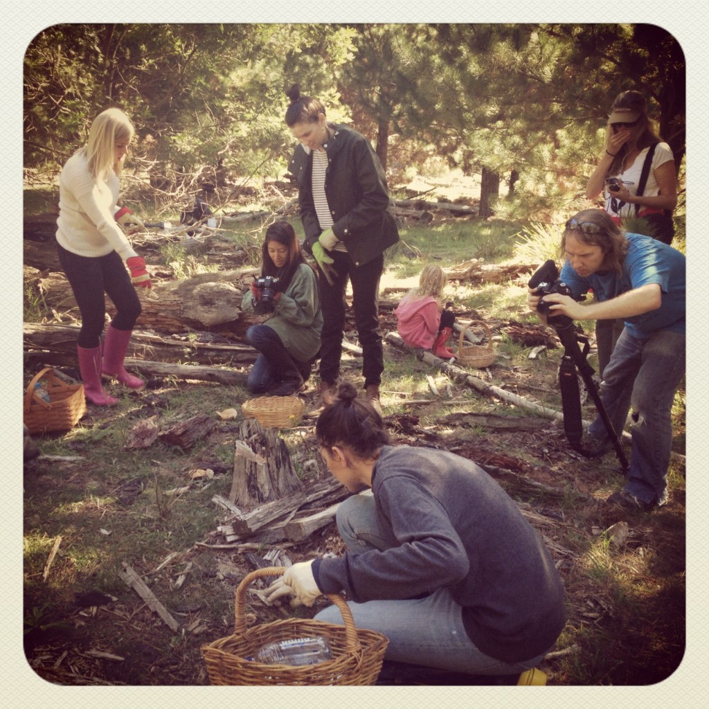 FinSkis and Youth Food Movement Australia