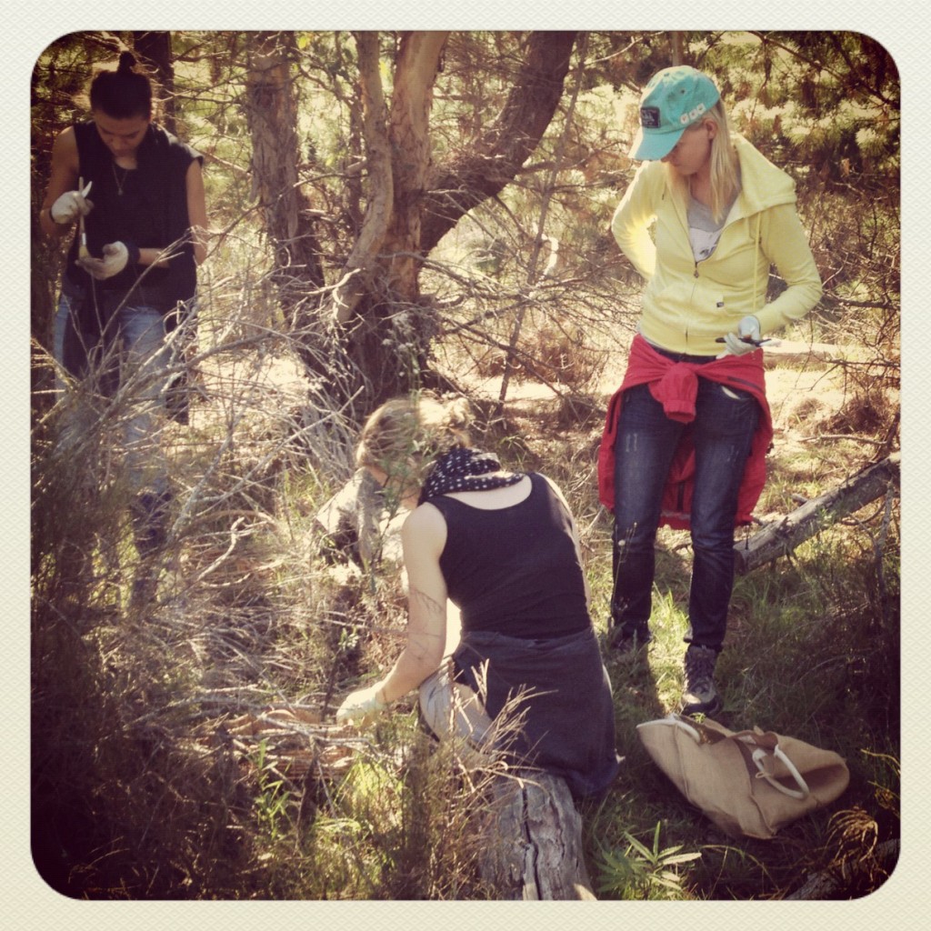 FinSkis and Youth Food Movement Australia